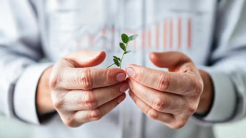 Manos maduras alcanzan éxito financiero sostenible